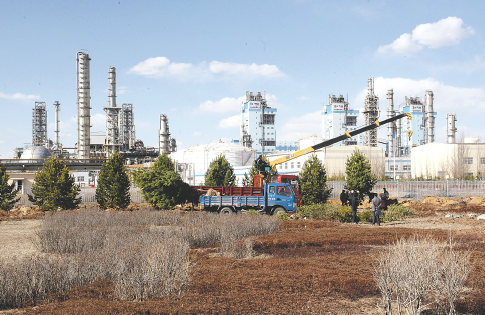 雨燕足球直播 现场精彩画面